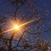 成長就像走夜路一樣，既沒有燈也沒啥人，但正因為黎明很美，所以你要酷酷地走下去