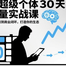 AI超級(jí)個(gè)體30天流量實(shí)戰(zhàn)課 超級(jí)個(gè)體覺(jué)醒 從小項(xiàng)目到商業(yè)閉環(huán) 打造你的生態(tài)