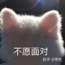 你的大學參加了什么活動