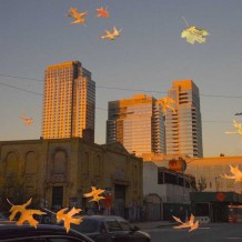 外面的世界很精彩，我的世界很平常。